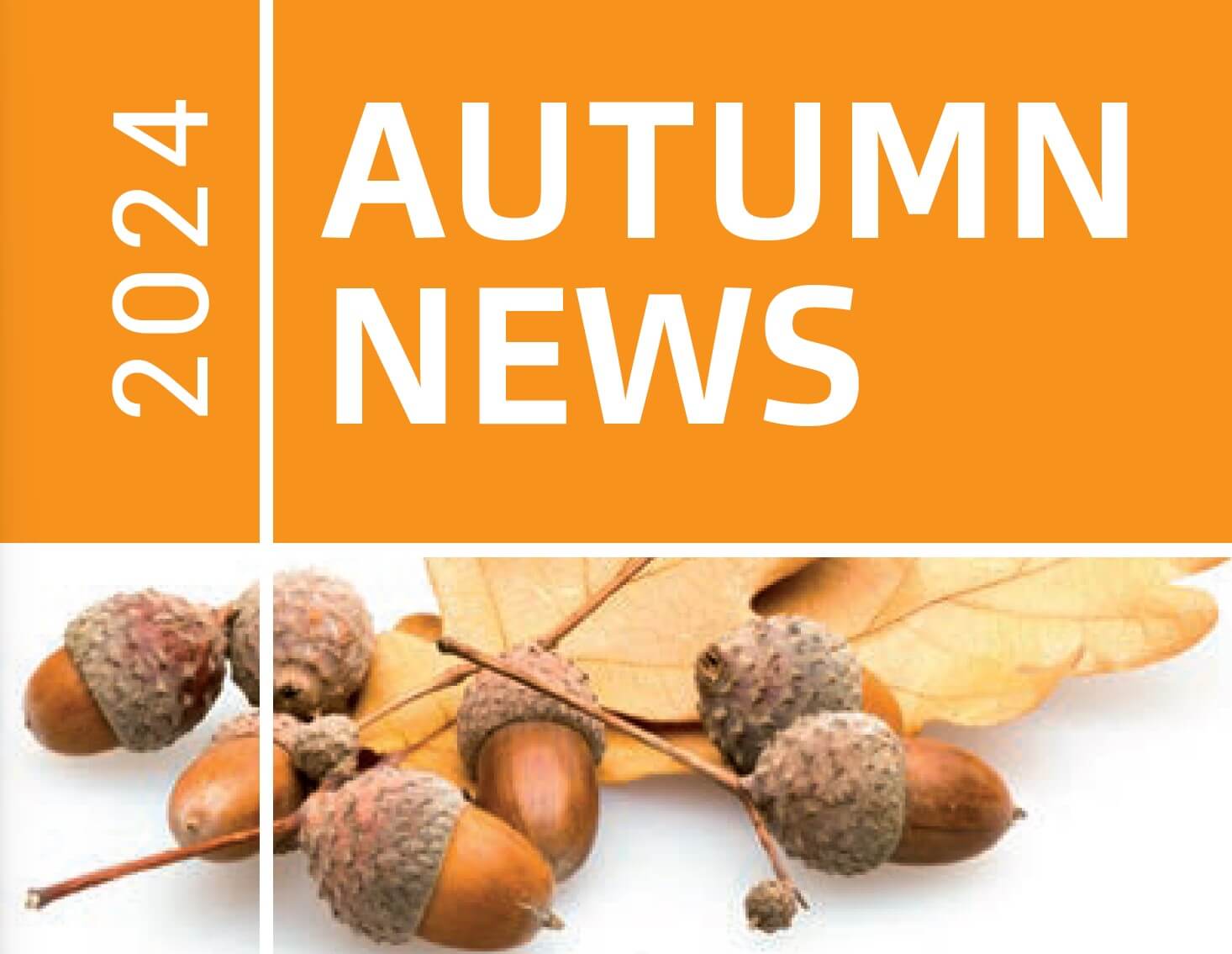 Autumn Newsletter 2024